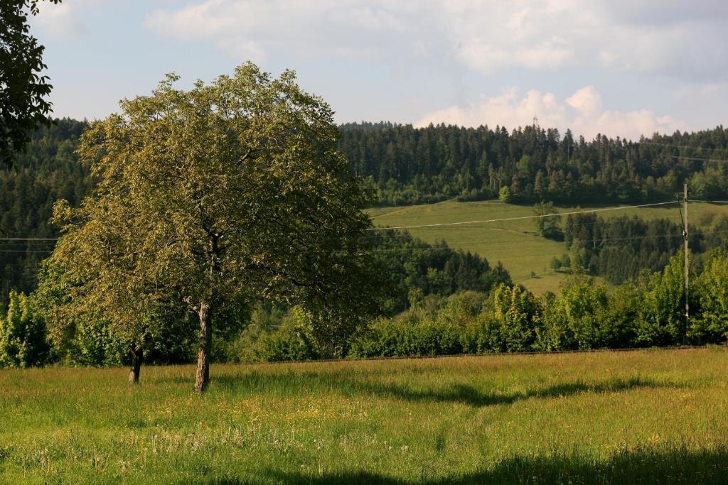 Hotel Rainhof Scheune & Naturpark Restaurant Kirchzarten Zewnętrze zdjęcie